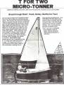 T for Two Micro-Tonner T42 Sailboat by American Fiberglass