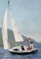 Flying Cruiser Sailboat by 